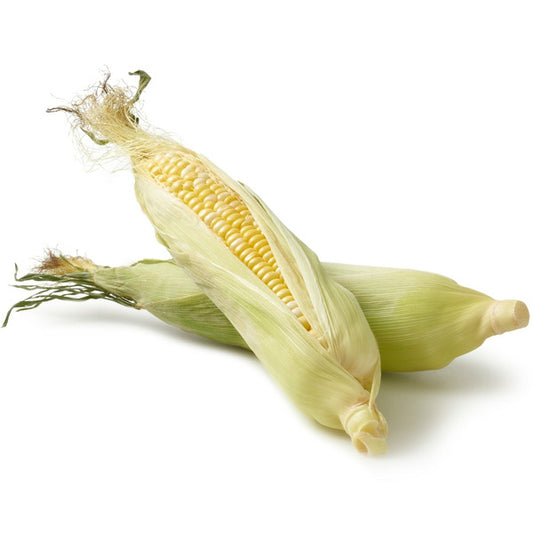 Fresh Sweet Corn on the Cob-Each